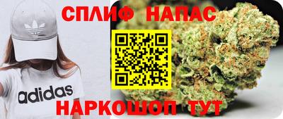 ГАЛЛЮЦИНОГЕННЫЕ ГРИБЫ Тверь