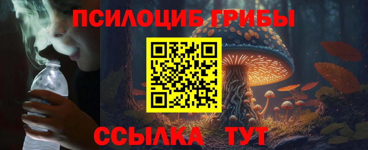 Шарыпово  Псилоцибиновые грибы Psilocybine cubensis  Галлюциногенные грибы MAGIC MUSHROOMS  Вход с VPN 